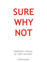 sure why not american haiku