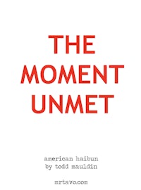 the moment unmet by american author todd malin