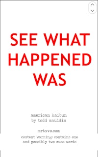 the cover of see what happened was