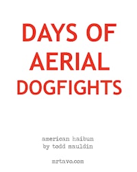 days of aerial dogfights by todd maulin