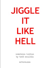 jiggle it like hell by todd maulin