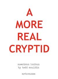 a more real crypt by todd sullivan
